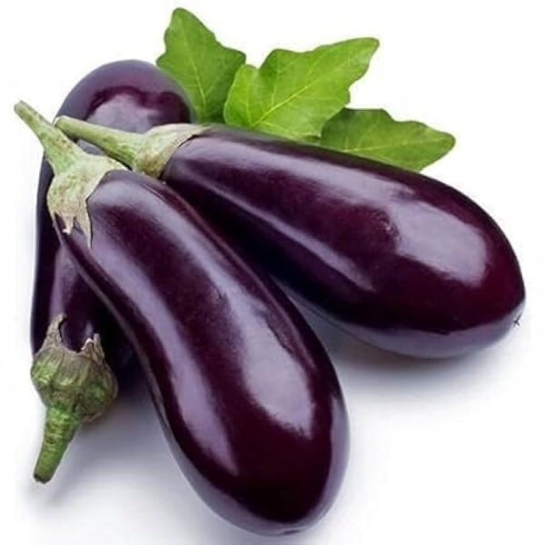 Brinjal (বেগুন) 1kg