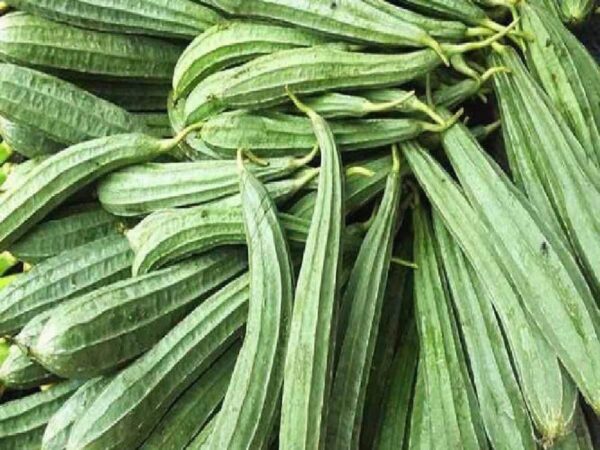 Jhinge (ঝিঙে 1kg)
