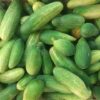 Cucumber (শসা) 1kg