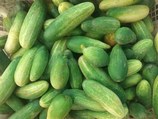 Cucumber (শসা) 1kg